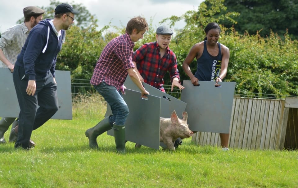 Farm Adventure situation just outside Masham is your chance to muck about on a farm with friends