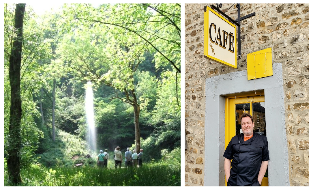 Colin recommends Hackfall Woods, near Masham