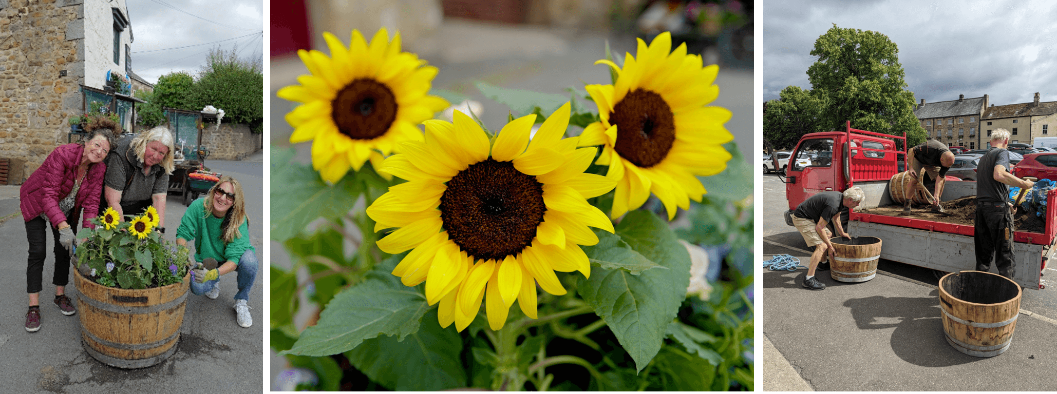 Peculier Edible Planters being prepared for Masham High Street