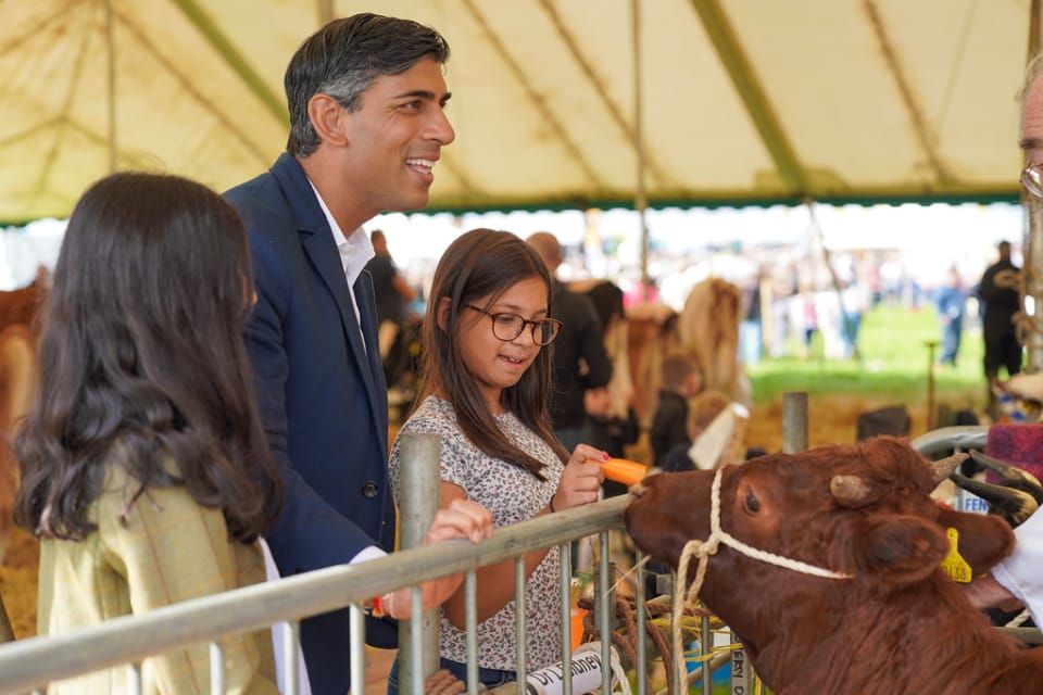 Wensleydale Show, Leyburn