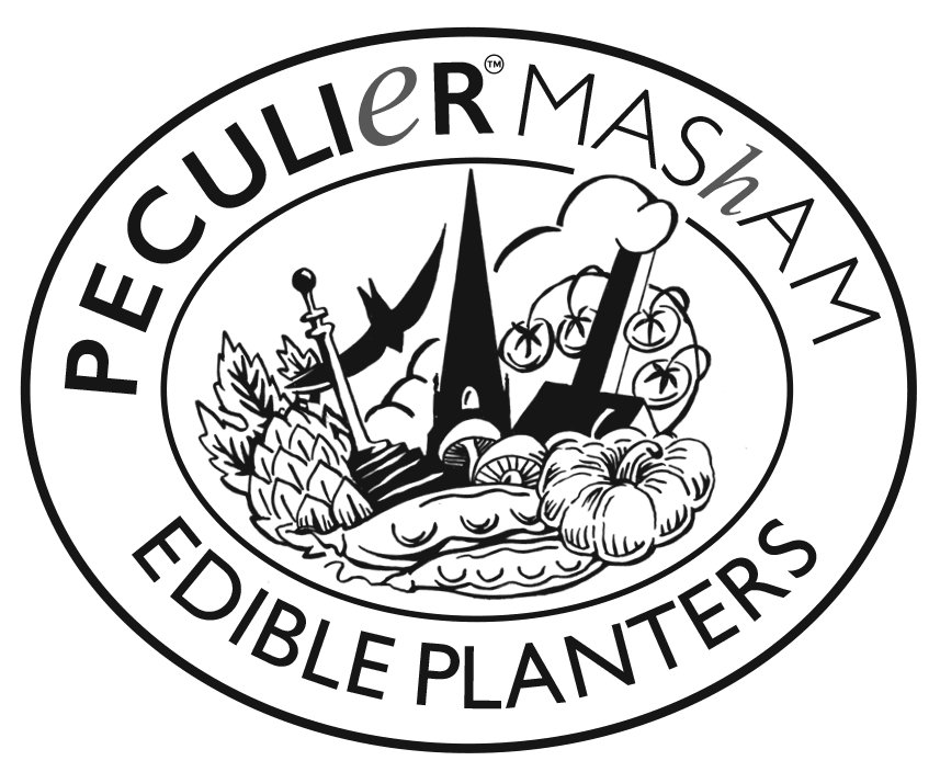 Masham Peculier Edible Planters