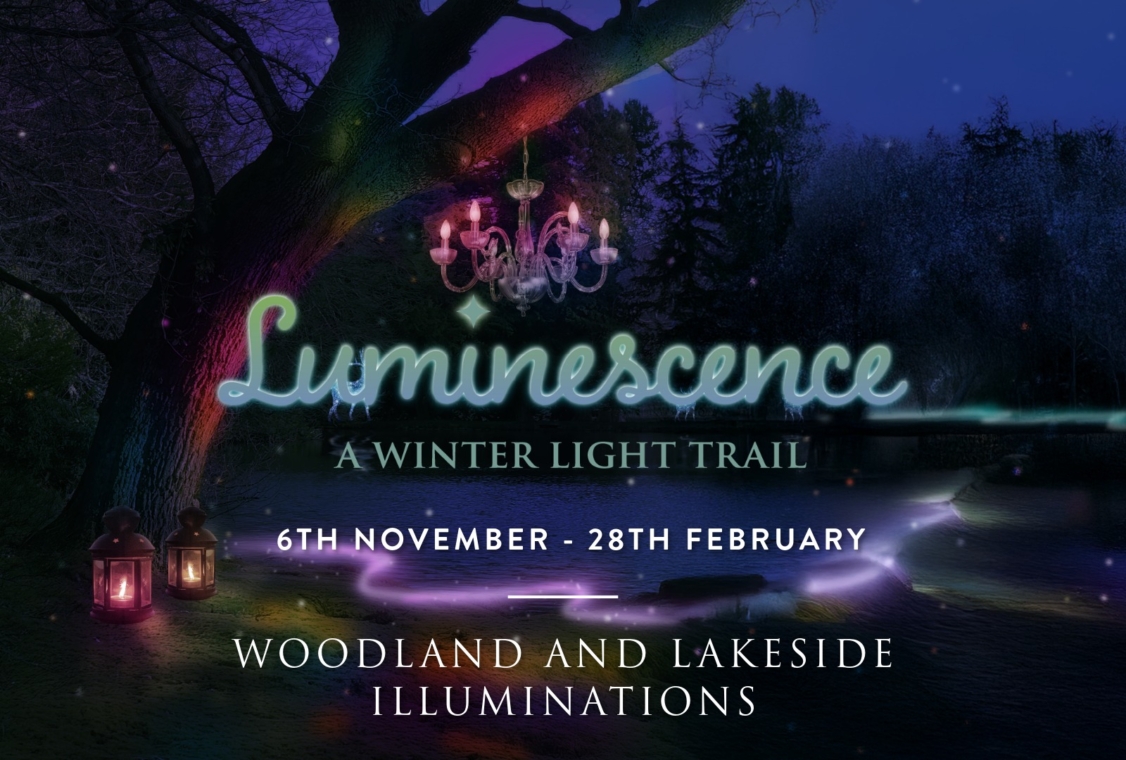 Luminescence - a Winter Light Trail