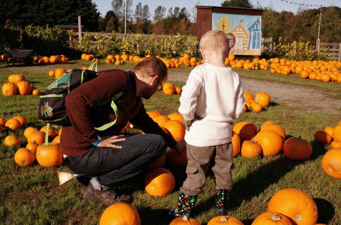 Pumpkin patch