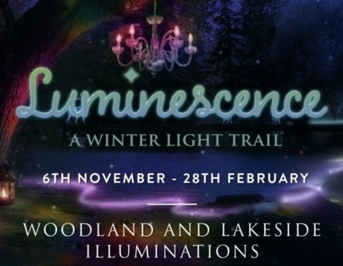 Luminescence at Swinton Park Estate, near Masham