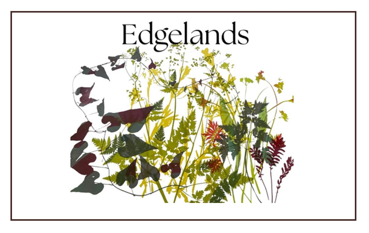 Edgelands - A Masham Gallery Exhibition
