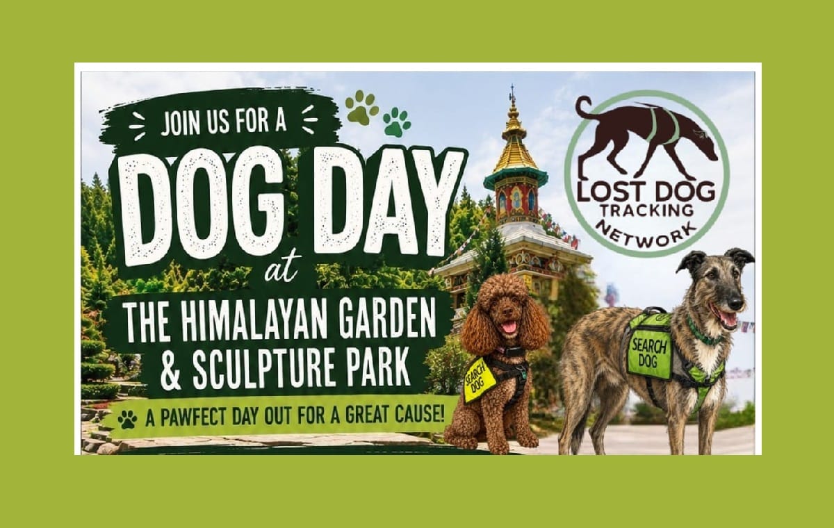 Dog Day 2026