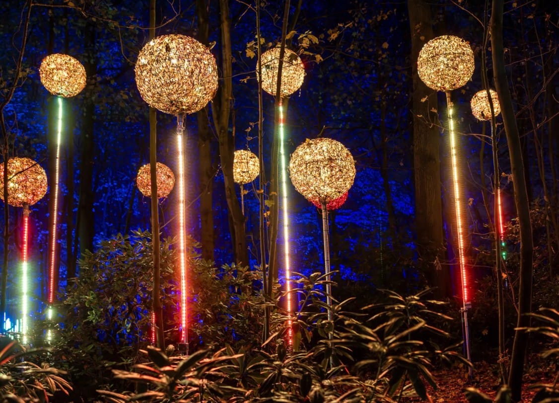 Stockeld Park Light Trail in Yorkshire