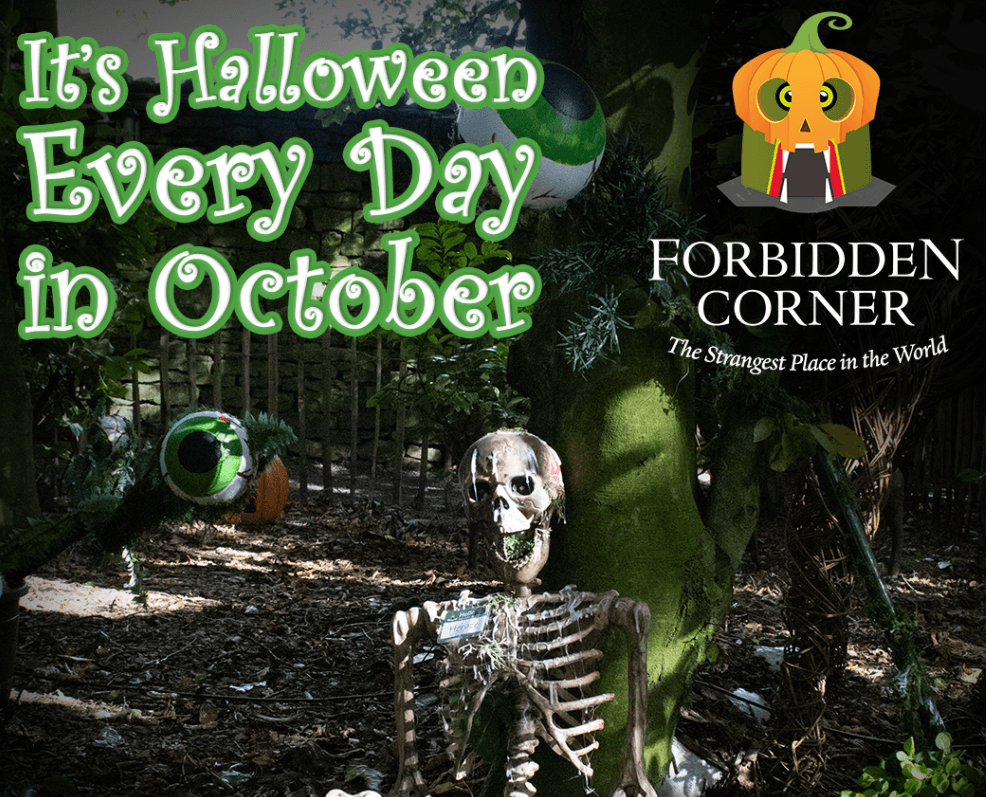 Halloween adventure in mashamshire